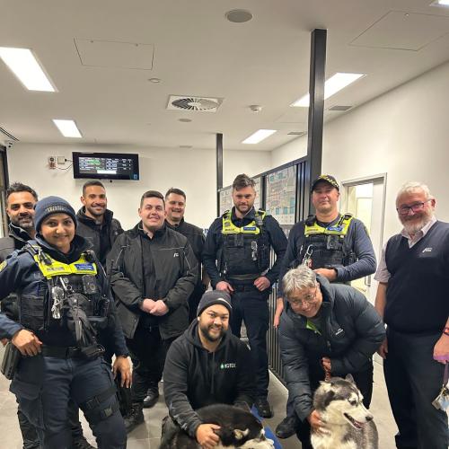 Puppy Rescue Causes Train Delays!